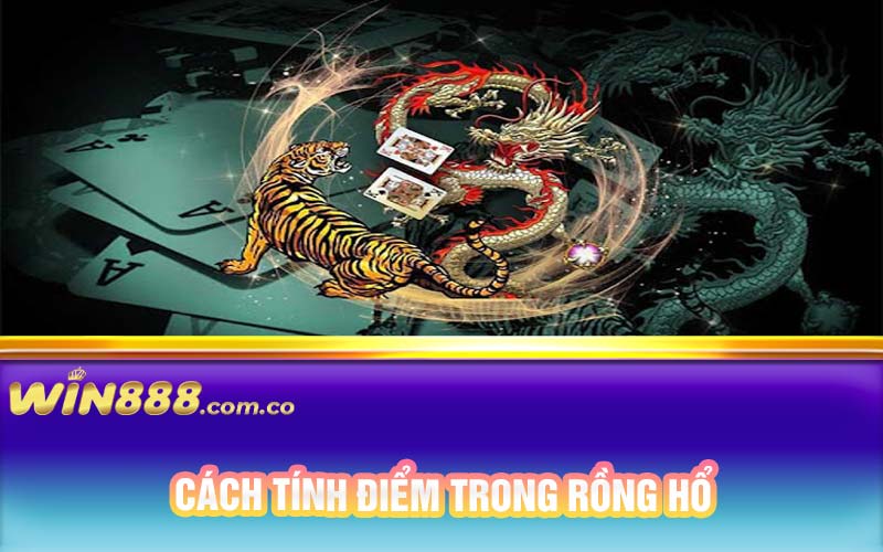 Cách tính điểm trong rồng hổ 