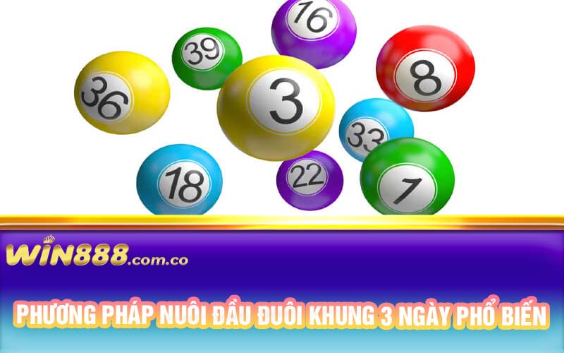 Phương pháp nuôi đầu đuôi khung 3 ngày phổ biến 