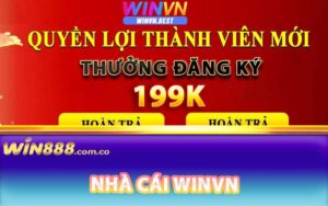 Nhà cái Winvn là gì?