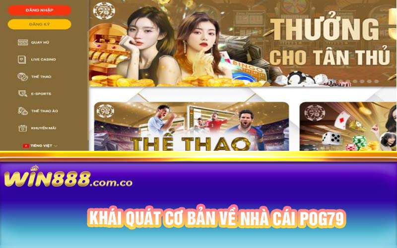 Khái quát cơ bản về nhà cái Pog79 