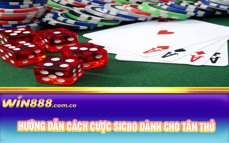 Hướng dẫn cách cược sicbo dành cho tân thủ  