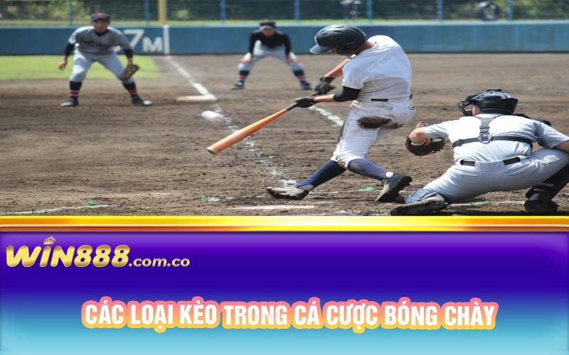 Các loại kèo trong cá cược bóng chày 