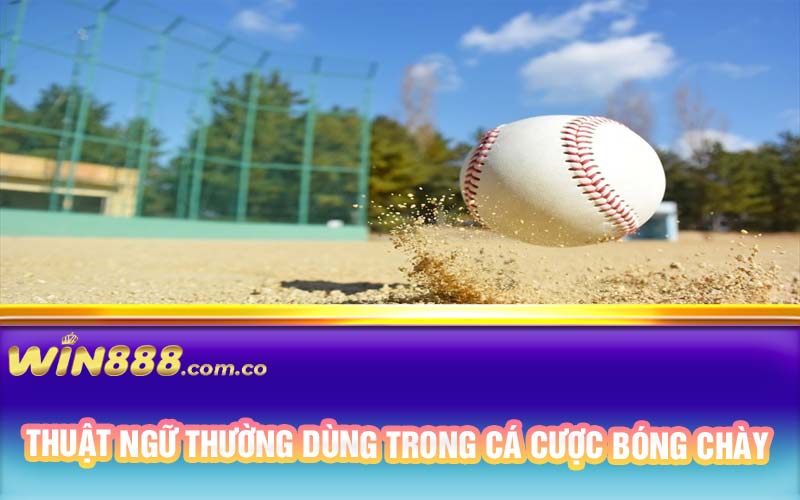 Thuật ngữ thường dùng trong cá cược bóng chày 