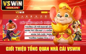 Giới Thiệu Tổng Quan Nhà Cái VSWIN